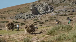 Albania Explorer Trip