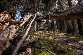 3-krajiny Enduro Trails: v MTB-raji Reschenskej priehrade