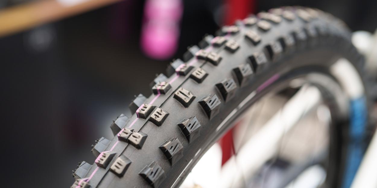 First Ride: Schwalbe Tacky Chan 2023 Review