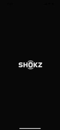 SHOKZ Openrun Pro Sports Headphones