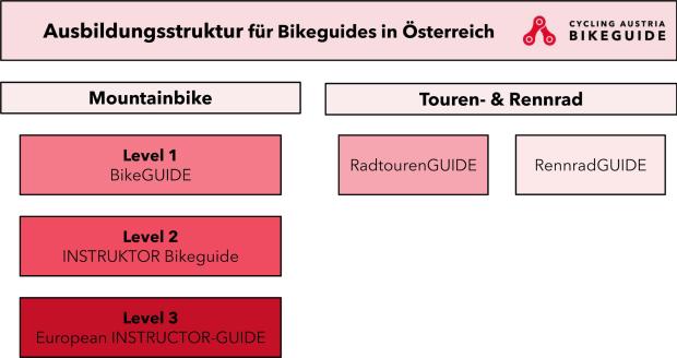 Chaque mode de déplacement - VTT, vélo de route, trekking - a sa formation de guide appropriée. Le domaine du VTT est structuré en trois niveaux. Plus d'informations sur les niveaux 2+3 dans le chapitre Perspectives (voir ci-dessous).