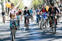 Prévia do Festival de Bicicleta Argus 2024