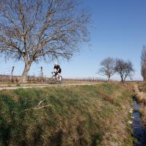 Sram Red XPLR AXS in Review on the Trek Checkmate SLR 9 AXS